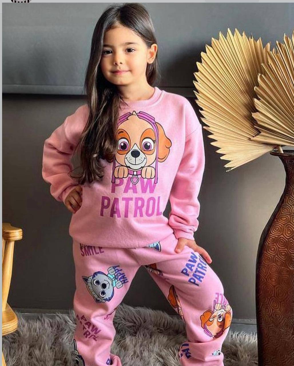 Conjuntos Aventura PAW PATROL 3