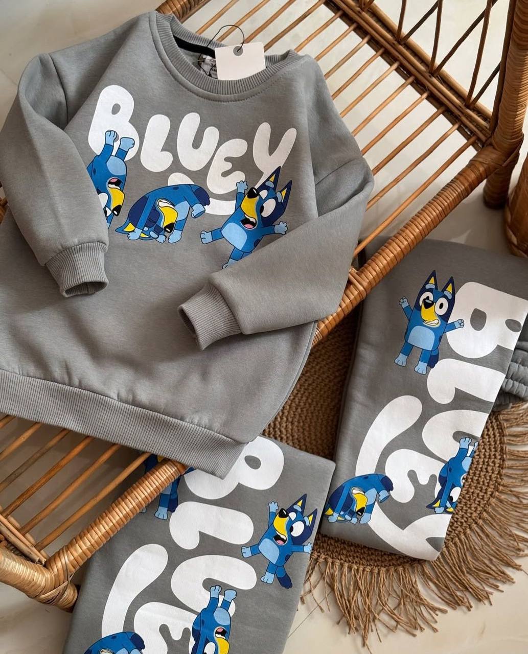 Conjuntos Aventura BLUEY 3